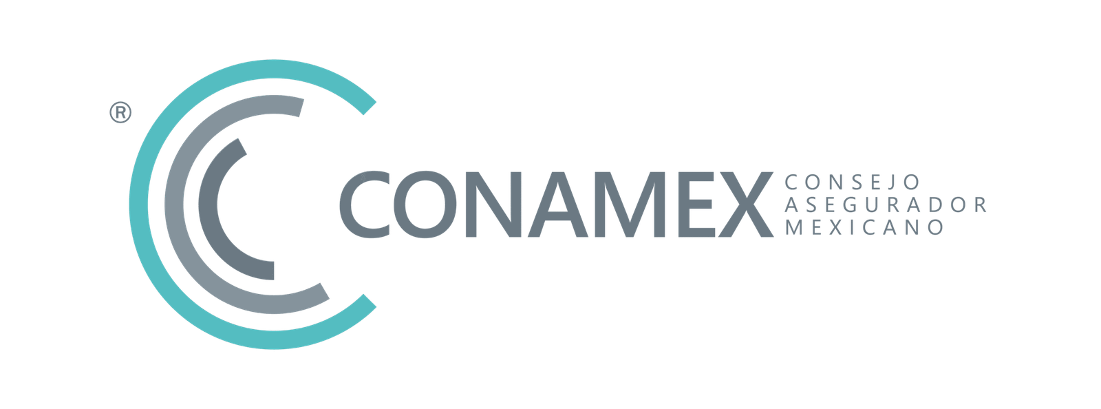 CONAMEX | Consejo Asegurador Mexicano para Agentes y Promotores